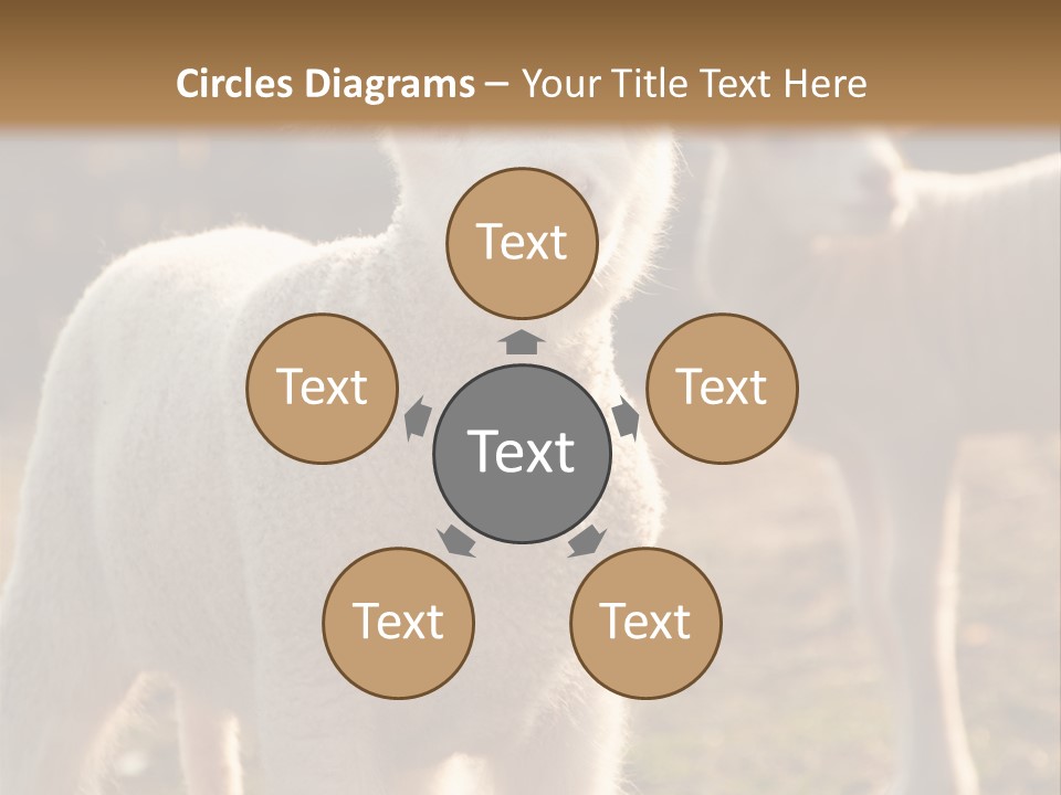 Seasonal Face Lamb PowerPoint Template