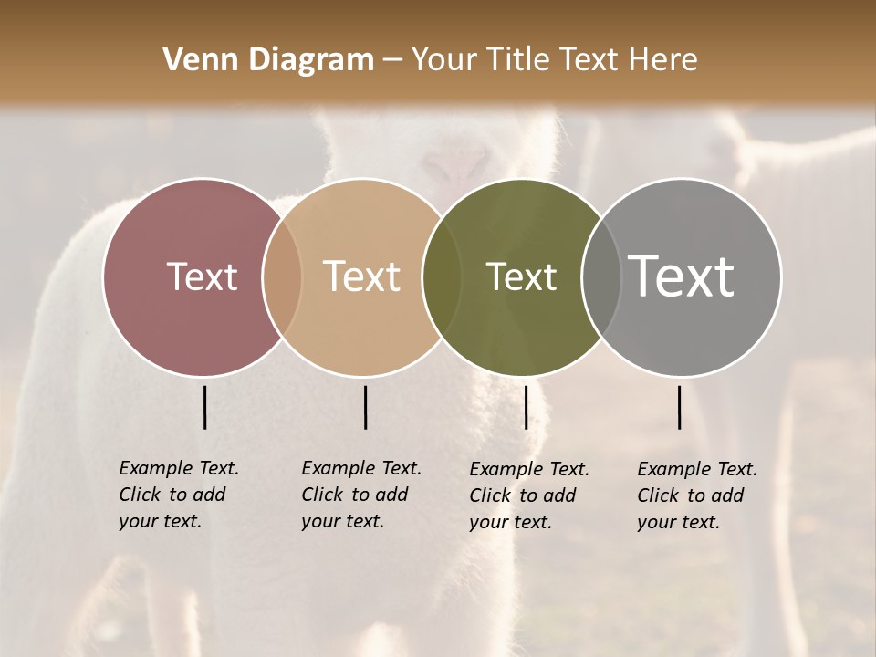 Seasonal Face Lamb PowerPoint Template