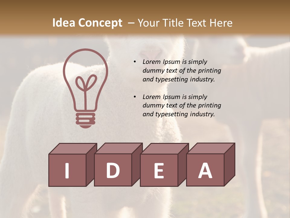 Seasonal Face Lamb PowerPoint Template