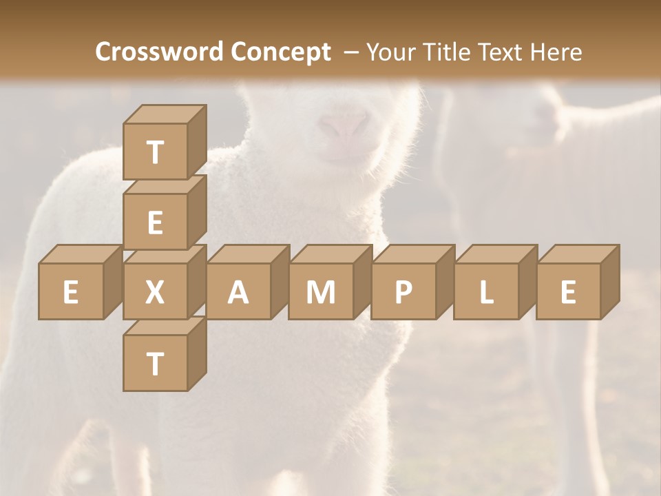 Seasonal Face Lamb PowerPoint Template