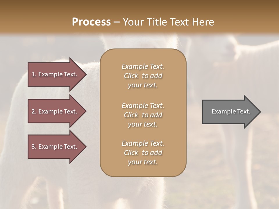 Seasonal Face Lamb PowerPoint Template