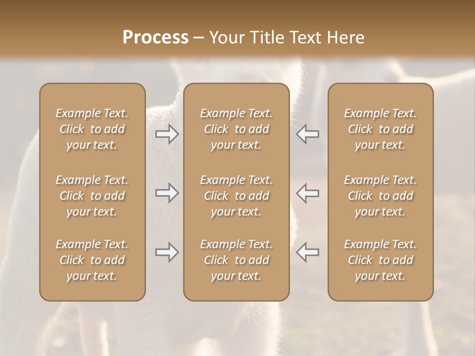 Seasonal Face Lamb PowerPoint Template