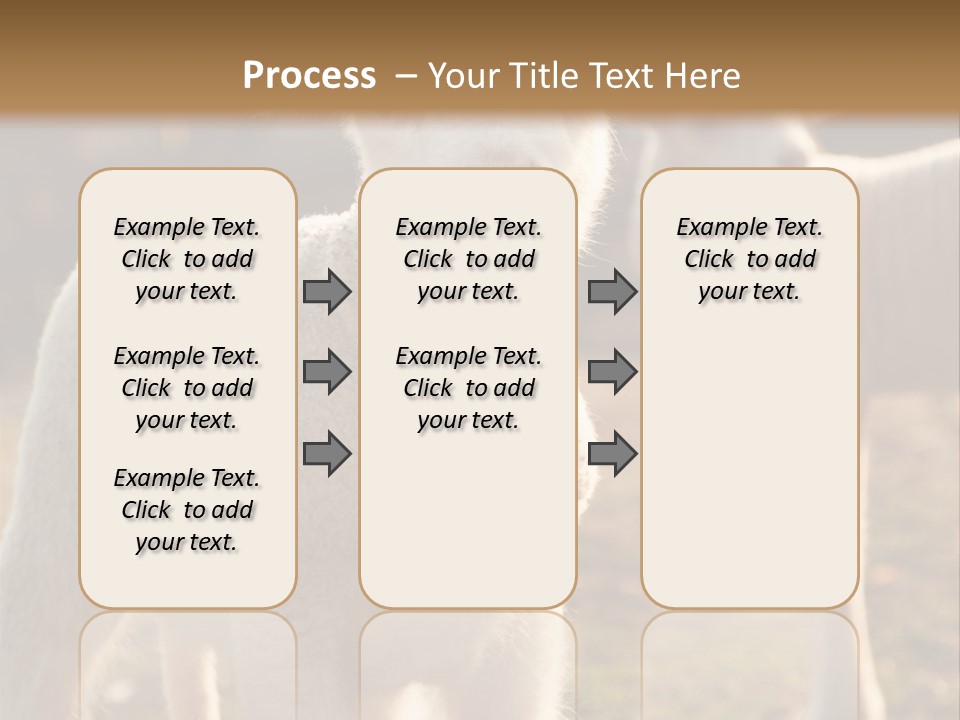 Seasonal Face Lamb PowerPoint Template