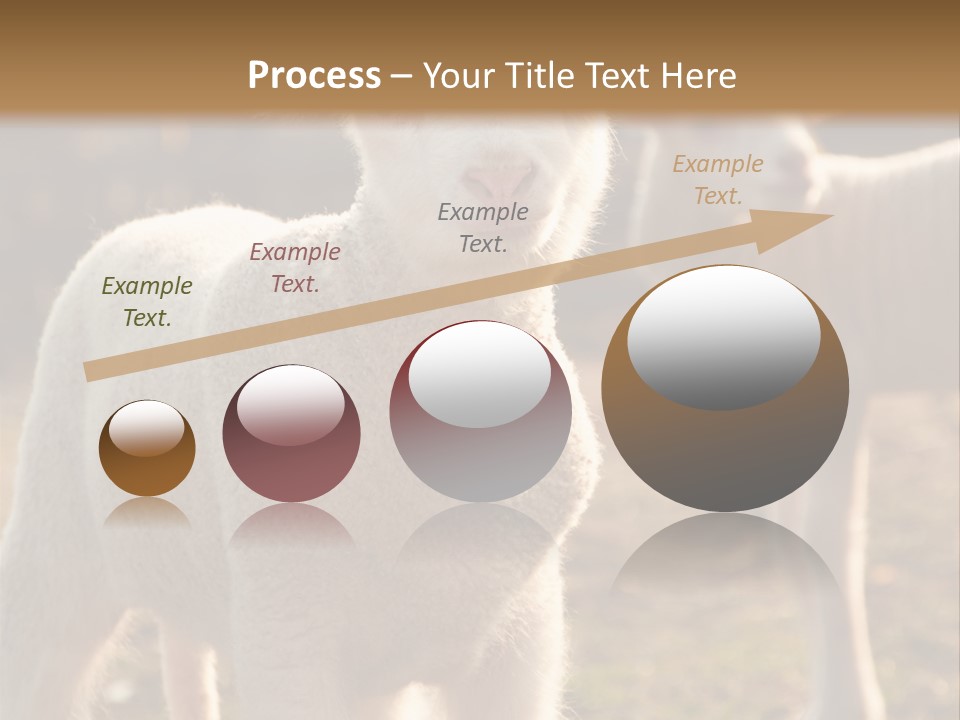 Seasonal Face Lamb PowerPoint Template