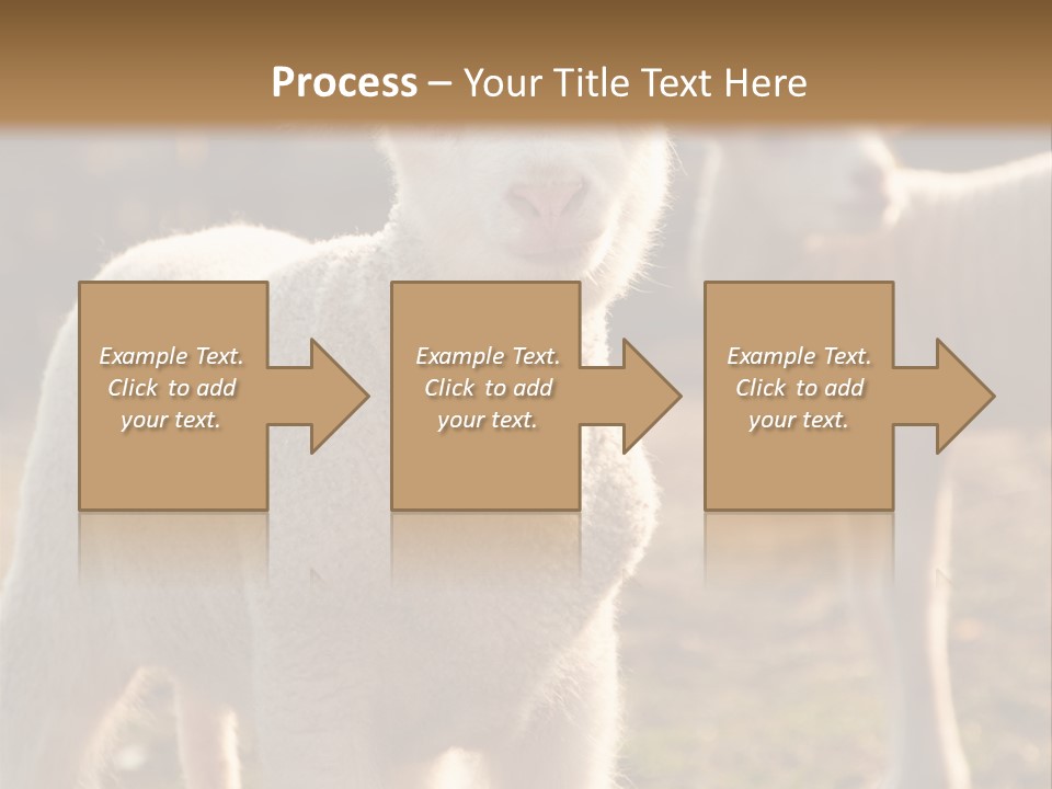 Seasonal Face Lamb PowerPoint Template