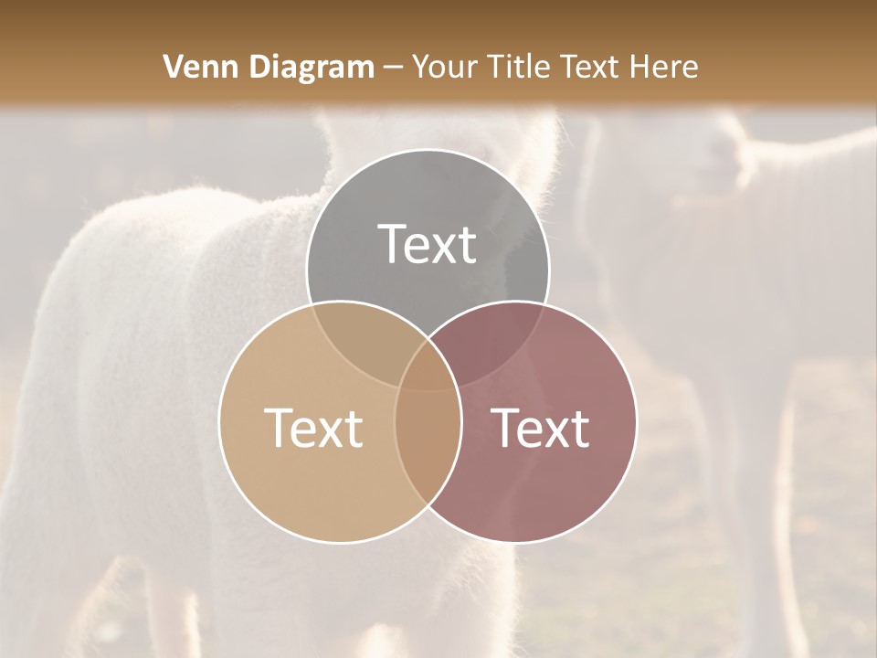 Seasonal Face Lamb PowerPoint Template