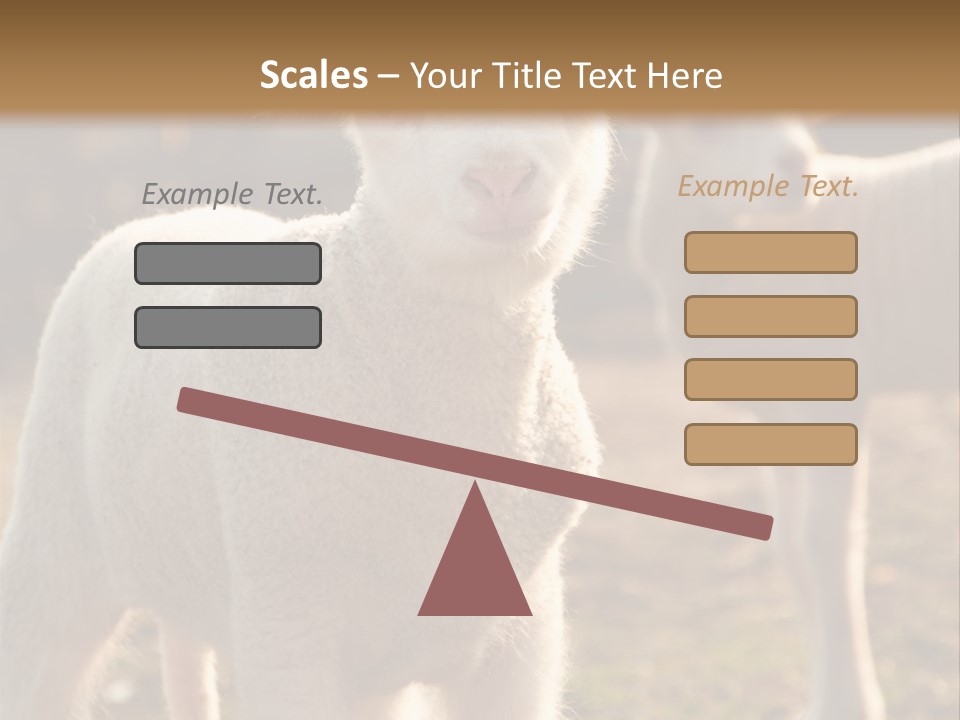 Seasonal Face Lamb PowerPoint Template