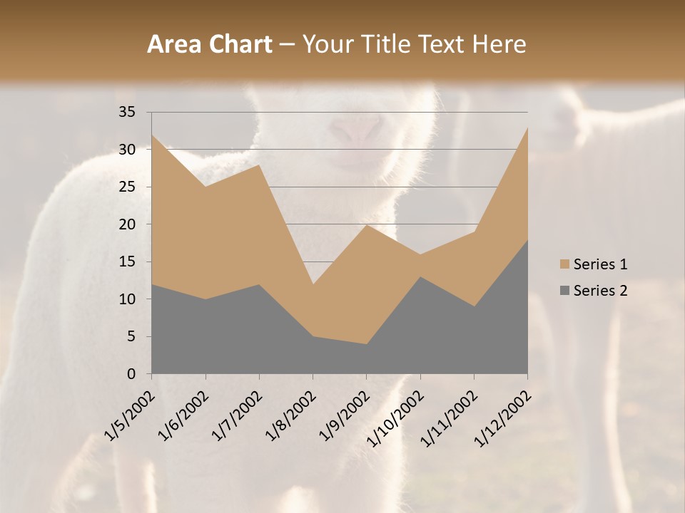 Seasonal Face Lamb PowerPoint Template