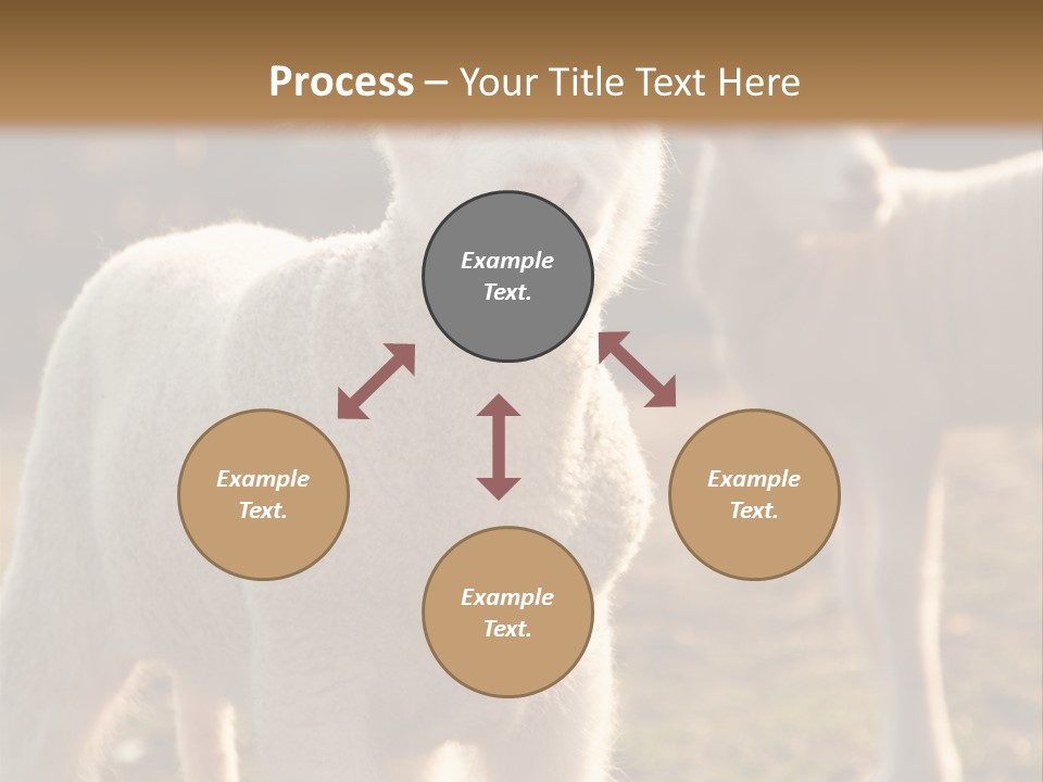 Seasonal Face Lamb PowerPoint Template