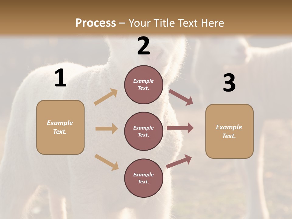 Seasonal Face Lamb PowerPoint Template