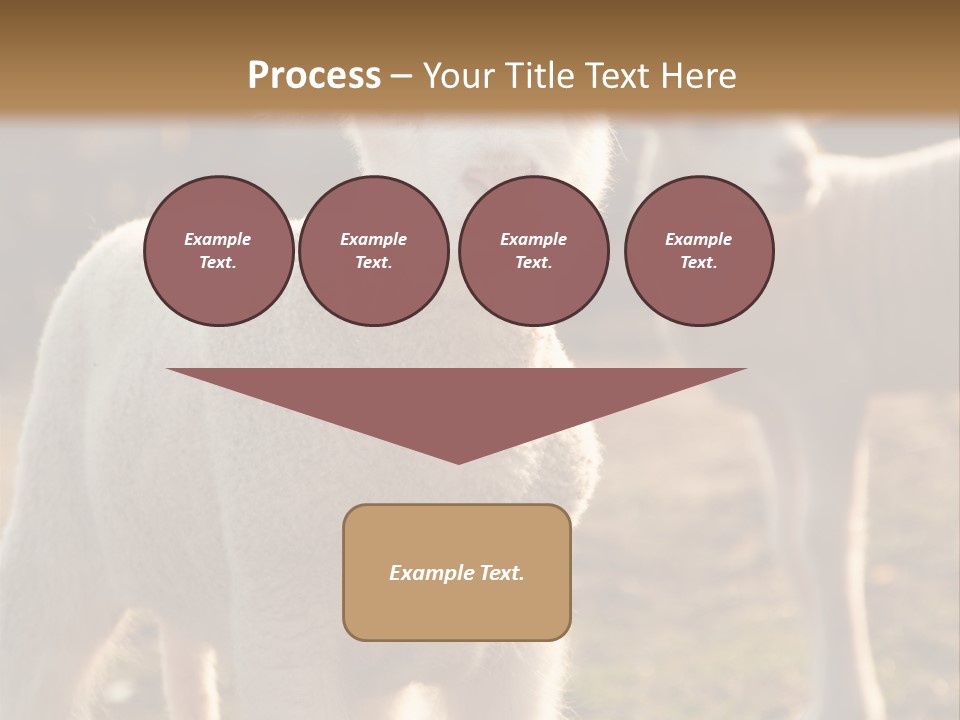 Seasonal Face Lamb PowerPoint Template