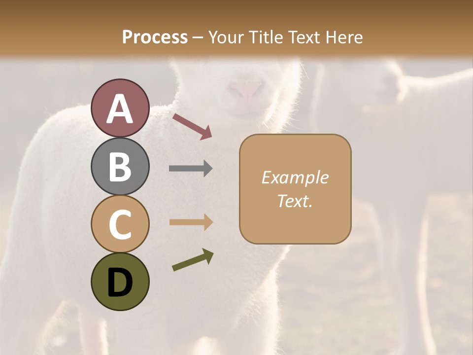 Seasonal Face Lamb PowerPoint Template