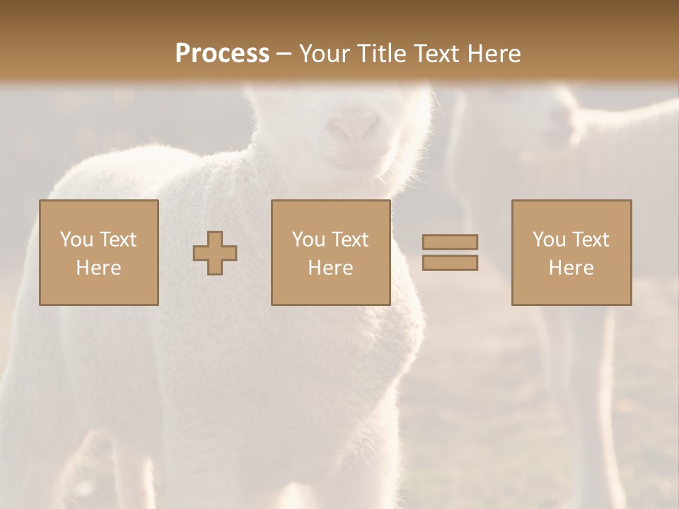 Seasonal Face Lamb PowerPoint Template