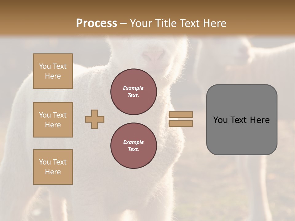 Seasonal Face Lamb PowerPoint Template