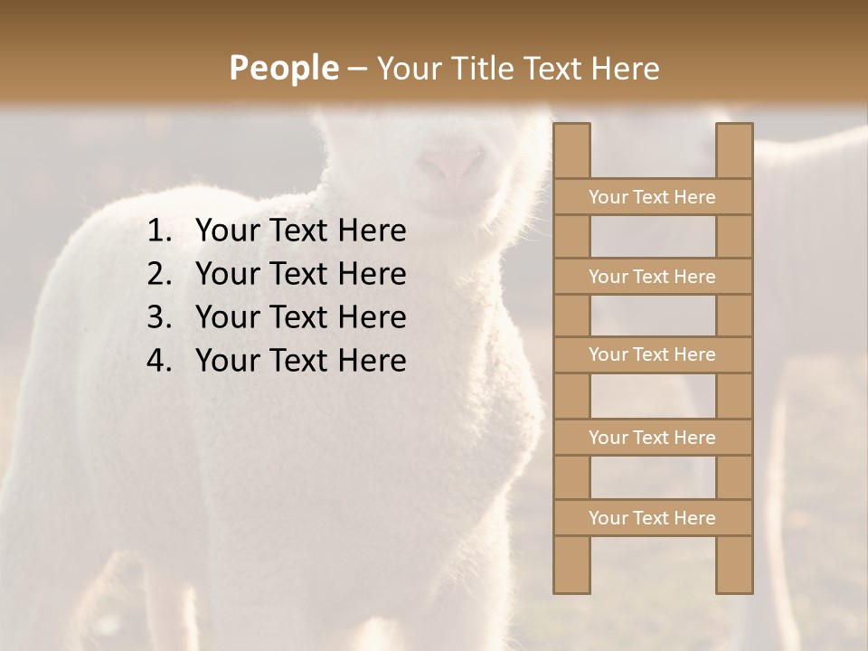 Seasonal Face Lamb PowerPoint Template