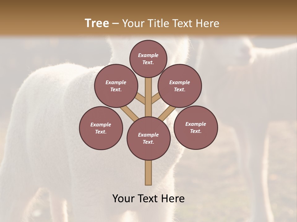 Seasonal Face Lamb PowerPoint Template