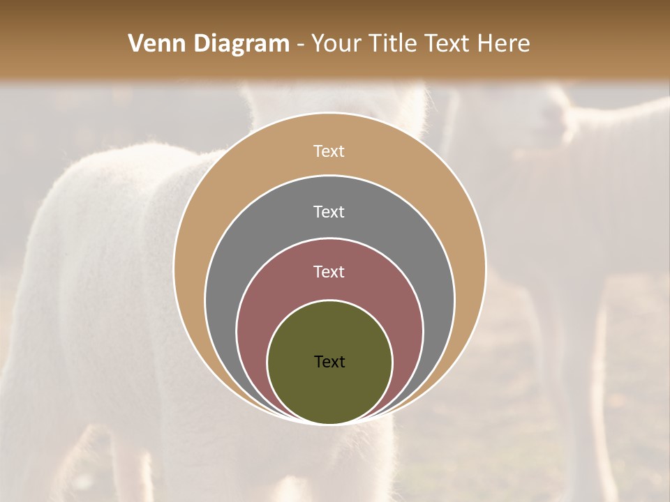 Seasonal Face Lamb PowerPoint Template