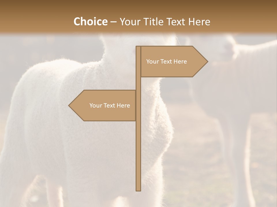 Seasonal Face Lamb PowerPoint Template