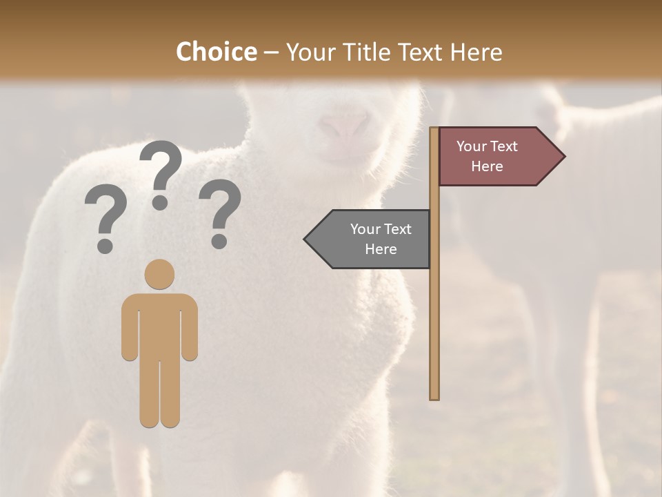Seasonal Face Lamb PowerPoint Template