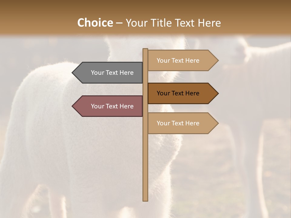 Seasonal Face Lamb PowerPoint Template