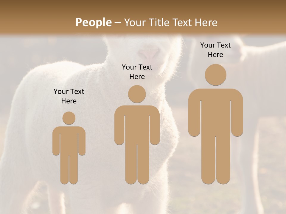 Seasonal Face Lamb PowerPoint Template