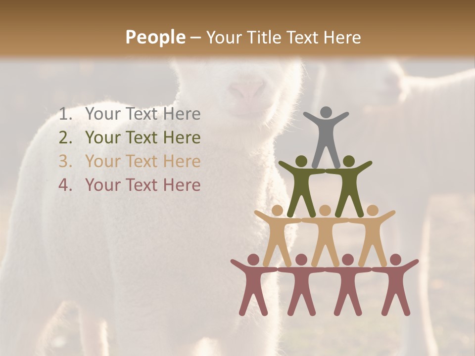 Seasonal Face Lamb PowerPoint Template