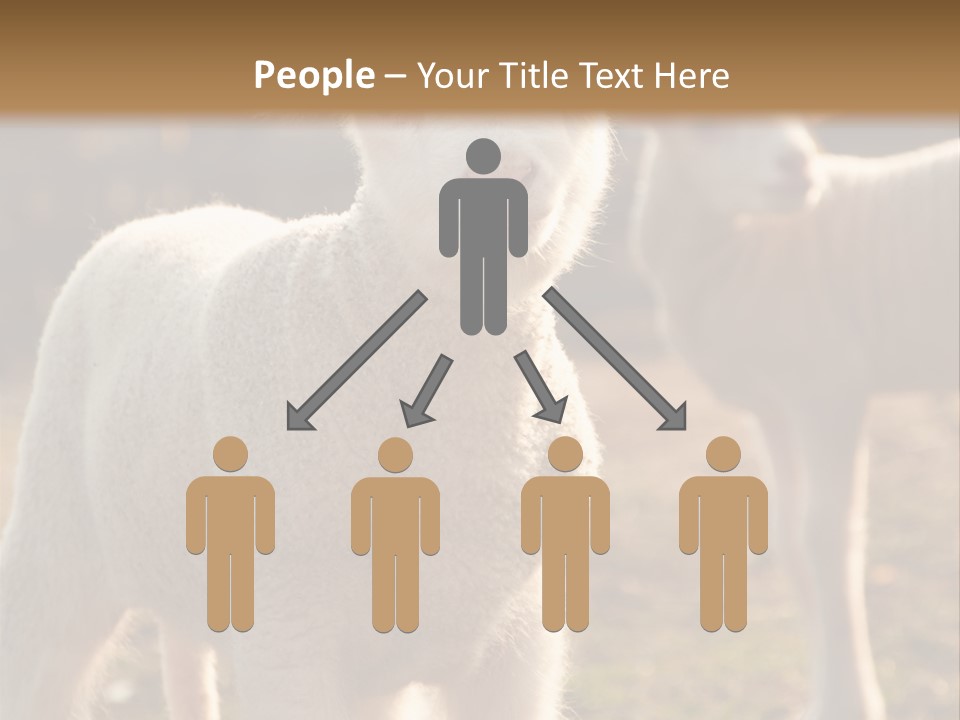 Seasonal Face Lamb PowerPoint Template