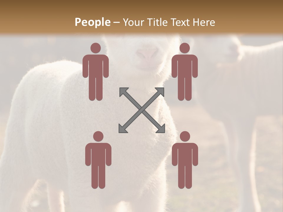 Seasonal Face Lamb PowerPoint Template