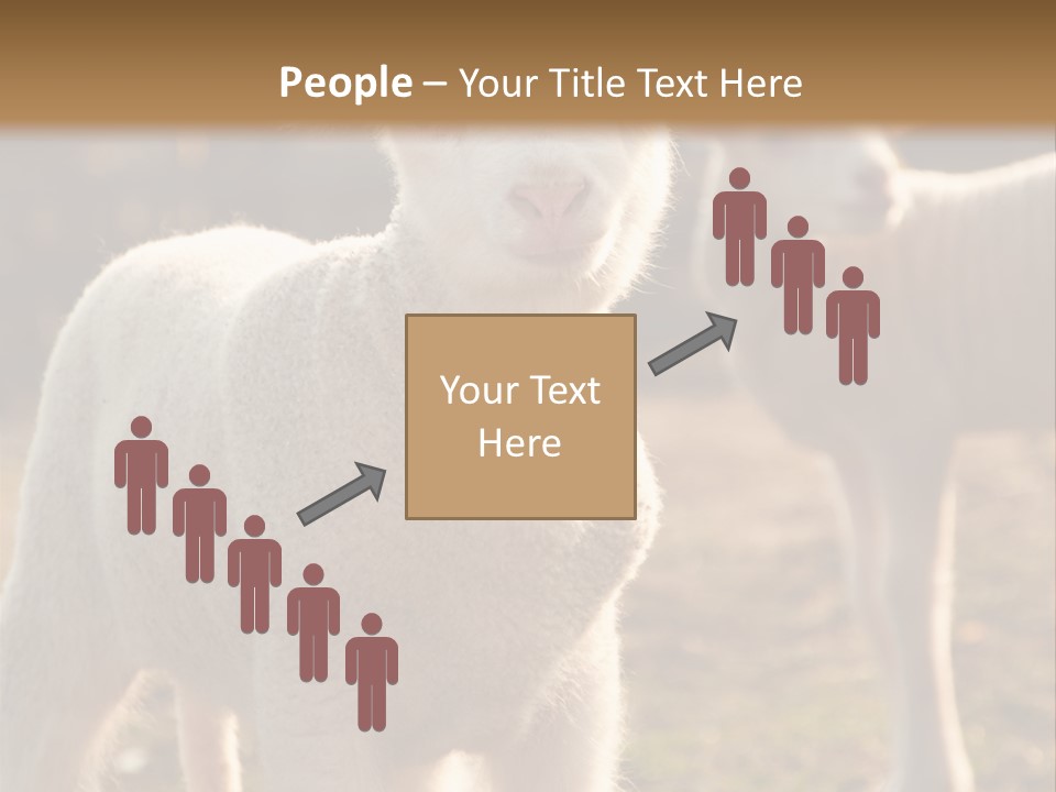 Seasonal Face Lamb PowerPoint Template