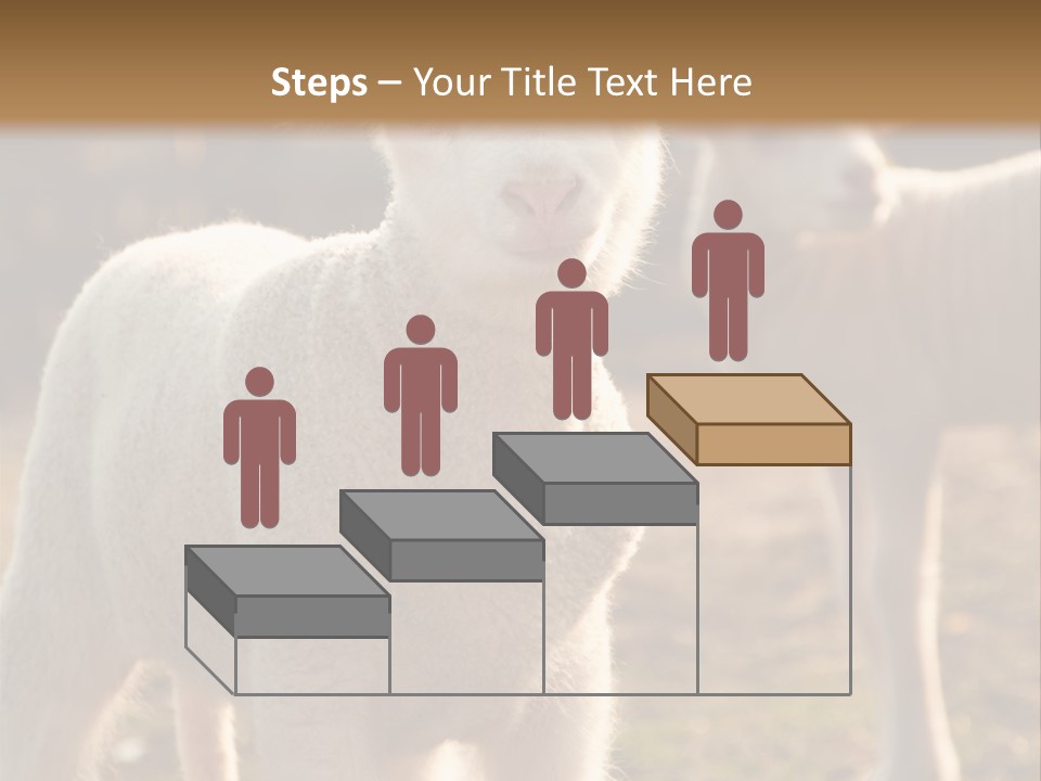 Seasonal Face Lamb PowerPoint Template