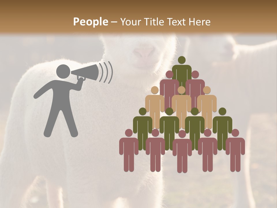 Seasonal Face Lamb PowerPoint Template
