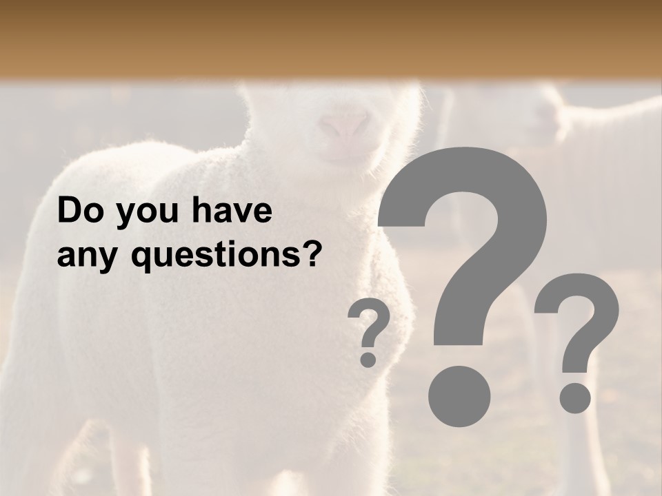 Seasonal Face Lamb PowerPoint Template