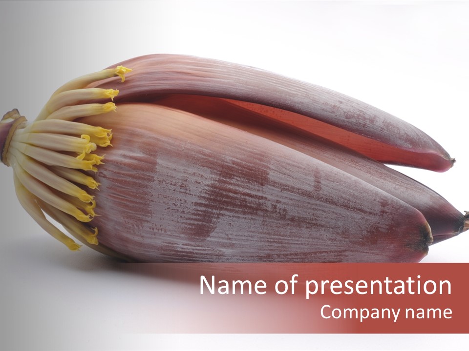 Bud Petal Jungle PowerPoint Template