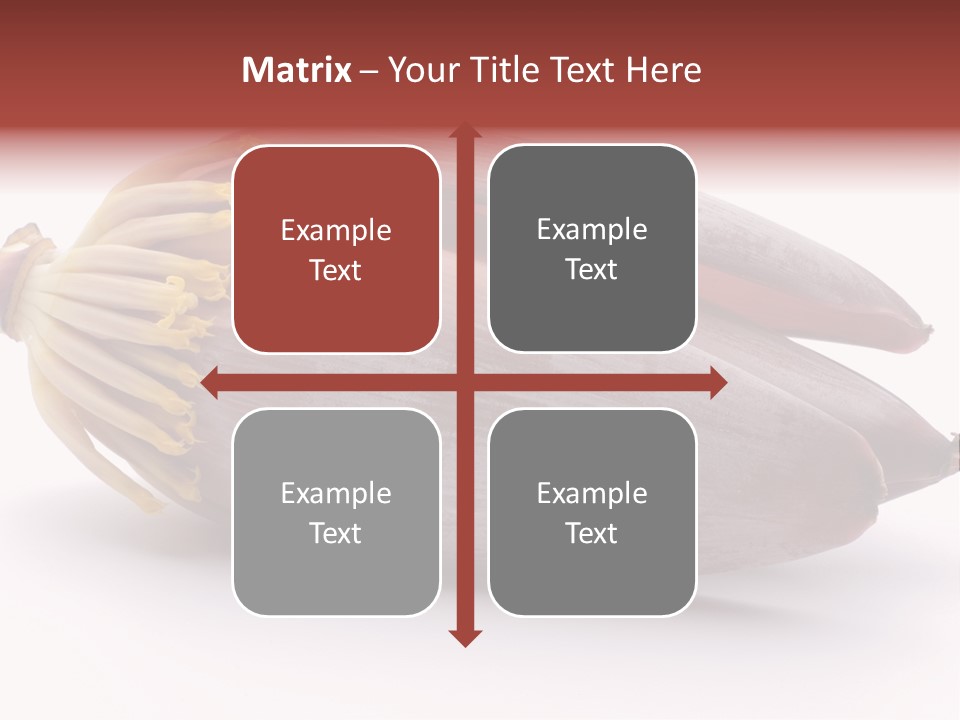 Bud Petal Jungle PowerPoint Template