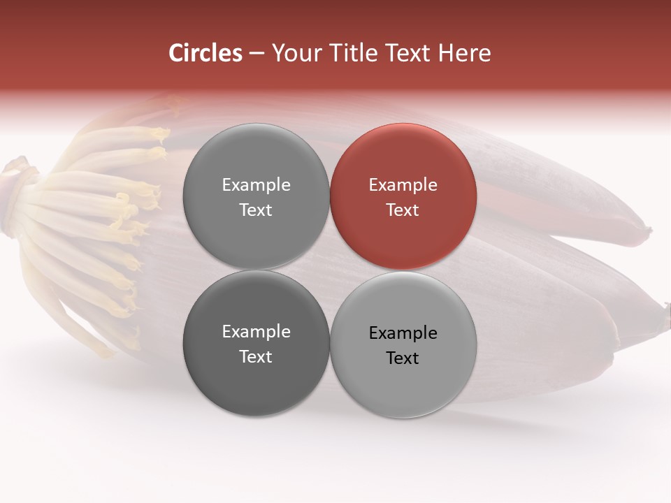 Bud Petal Jungle PowerPoint Template