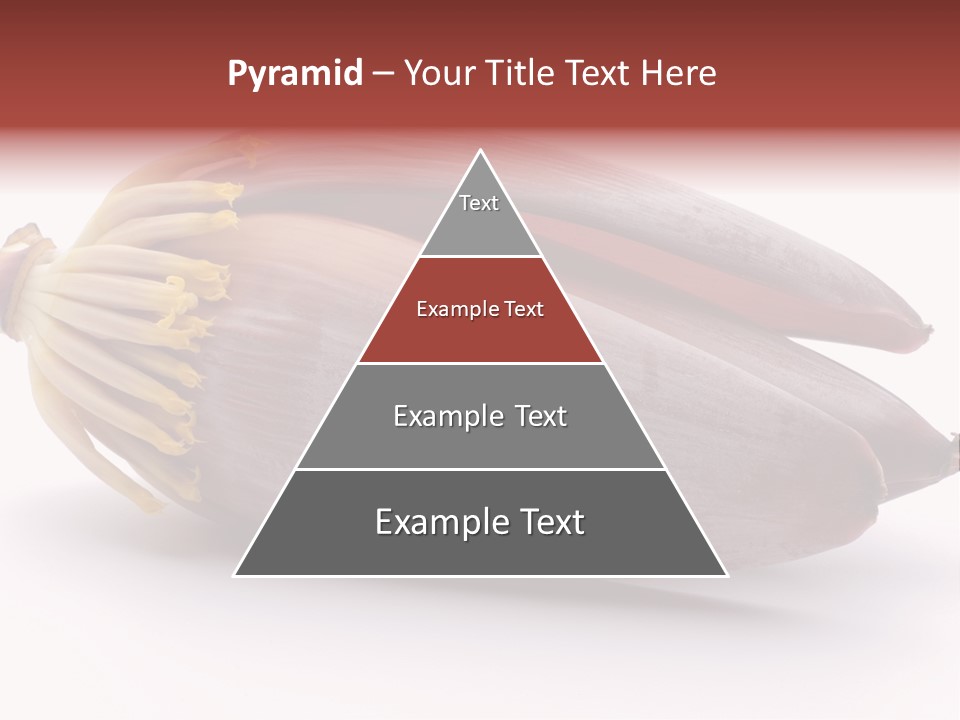 Bud Petal Jungle PowerPoint Template