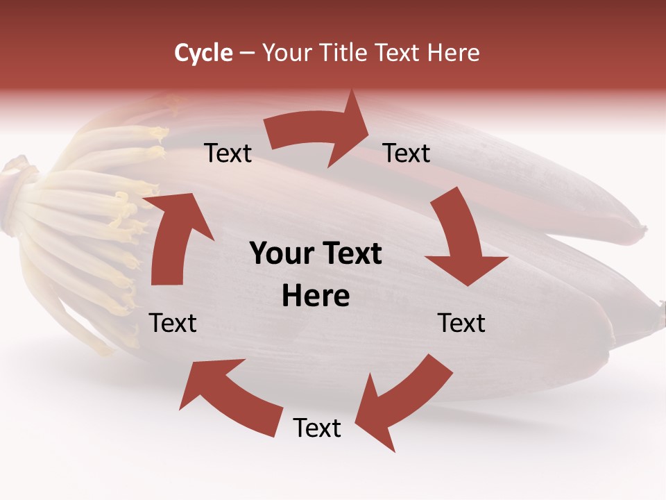 Bud Petal Jungle PowerPoint Template