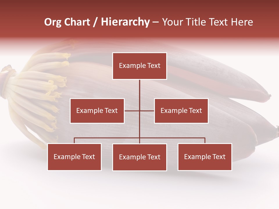 Bud Petal Jungle PowerPoint Template