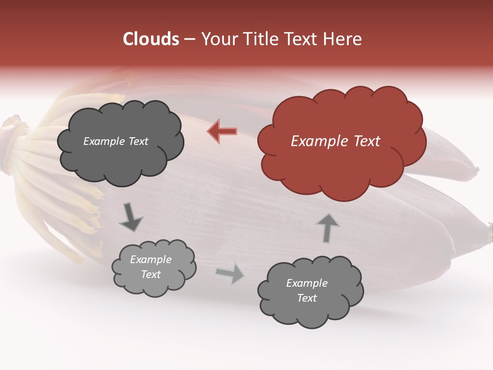 Bud Petal Jungle PowerPoint Template