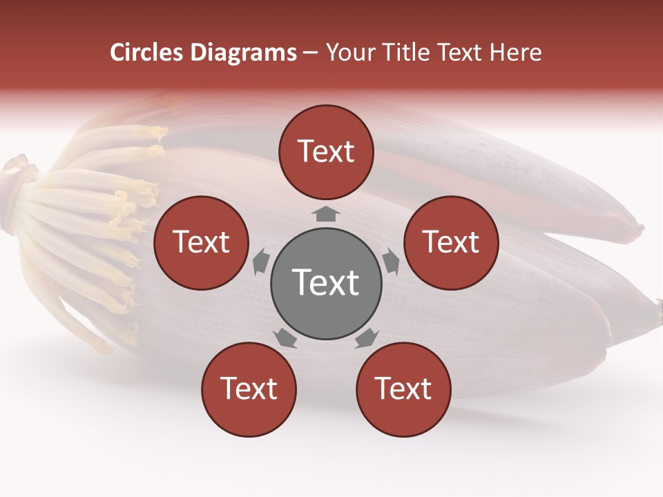 Bud Petal Jungle PowerPoint Template