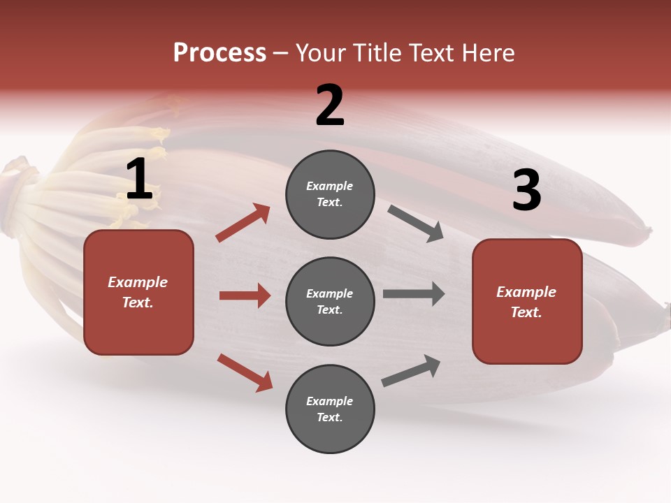 Bud Petal Jungle PowerPoint Template