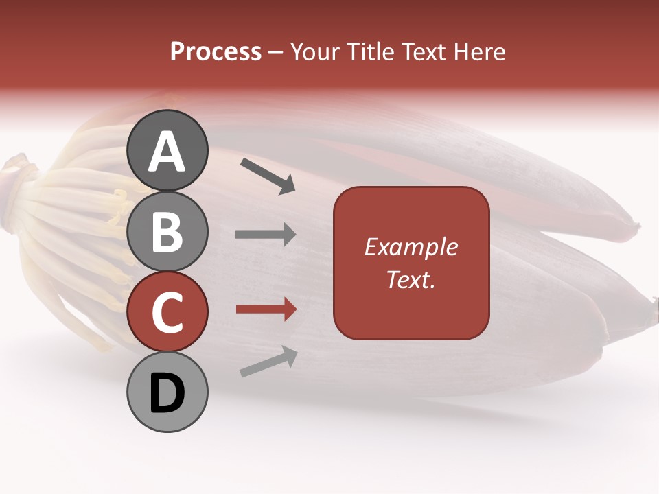 Bud Petal Jungle PowerPoint Template