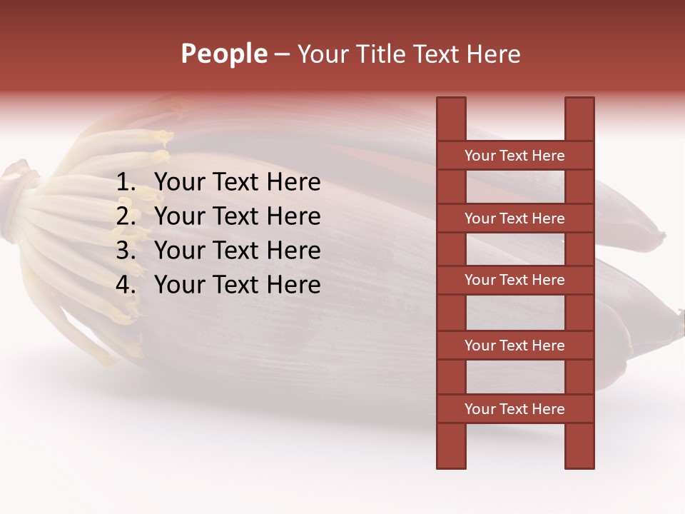 Bud Petal Jungle PowerPoint Template