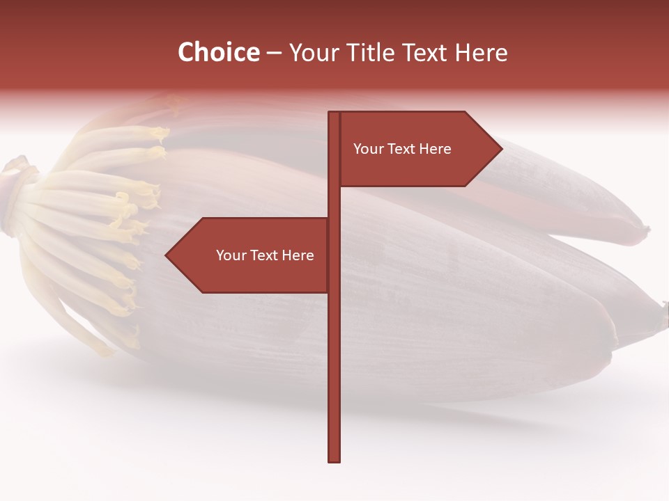 Bud Petal Jungle PowerPoint Template