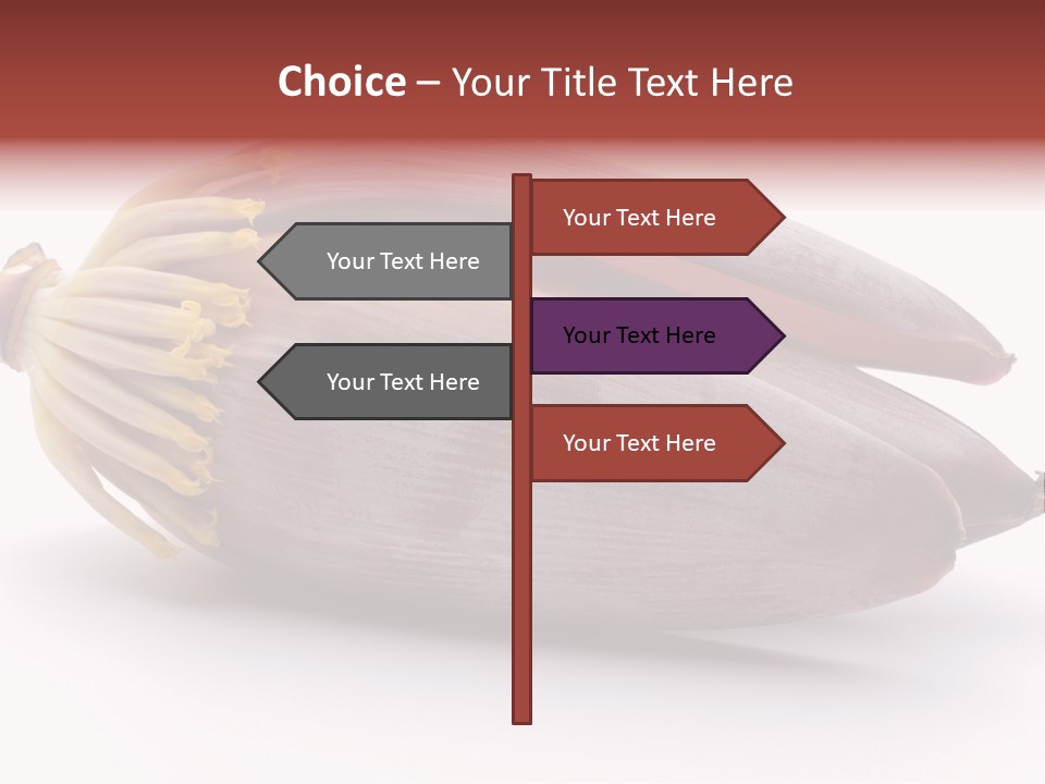 Bud Petal Jungle PowerPoint Template