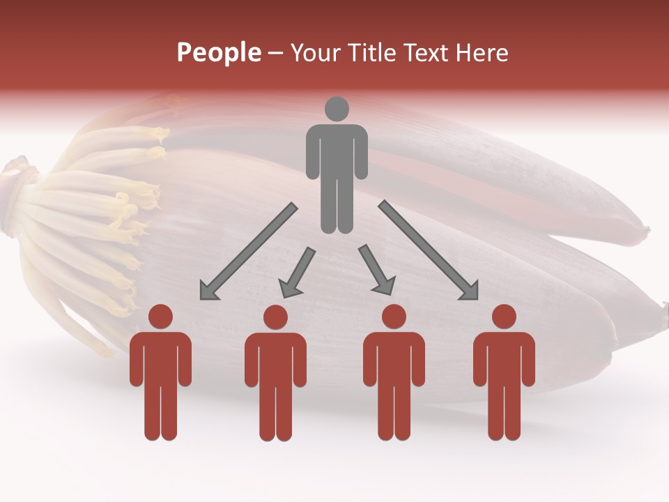 Bud Petal Jungle PowerPoint Template