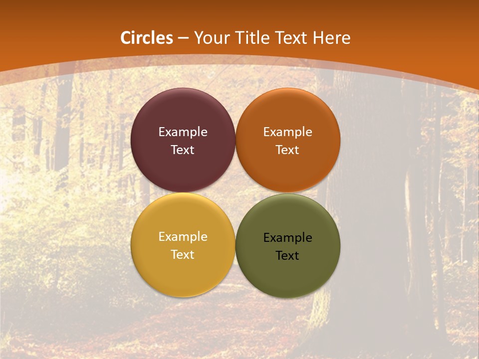 European Trees Pathway PowerPoint Template