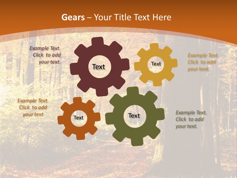 European Trees Pathway PowerPoint Template