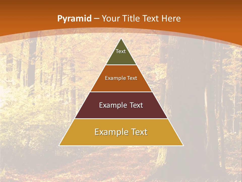 European Trees Pathway PowerPoint Template