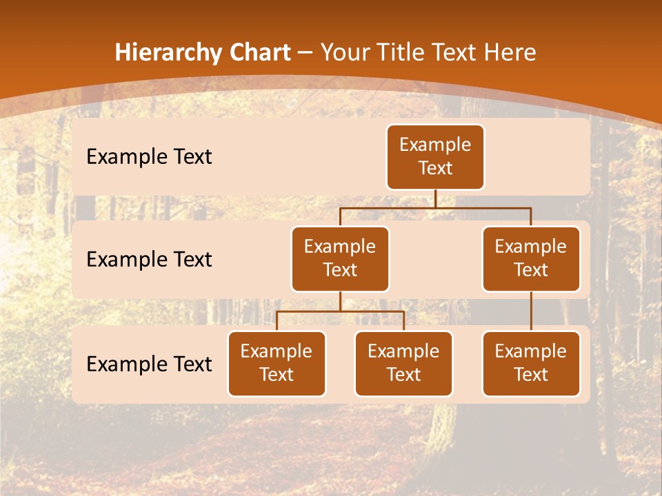 European Trees Pathway PowerPoint Template